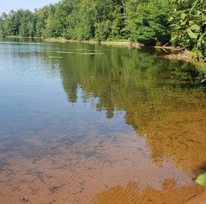 Meet your Posher, Joe